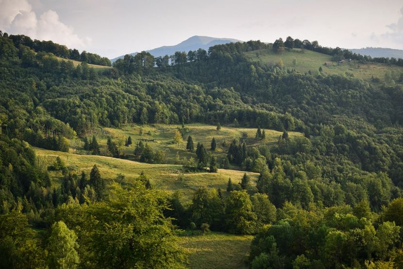  - Sfarsit de vara 2018