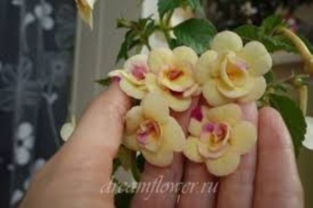 hot spot - Hot Spot -lucyanna