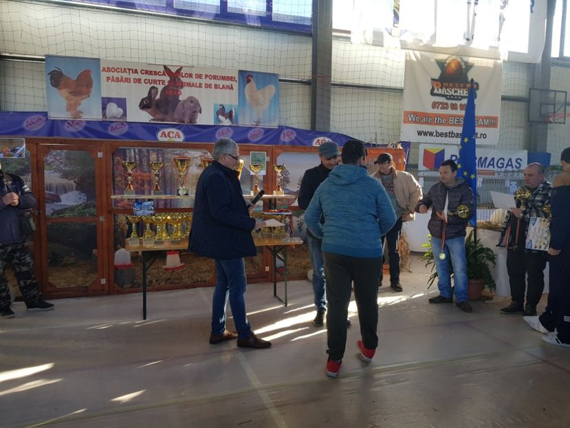  - Rezultatele obținute la expozitia județiană Cupa Fauna Aradeana
