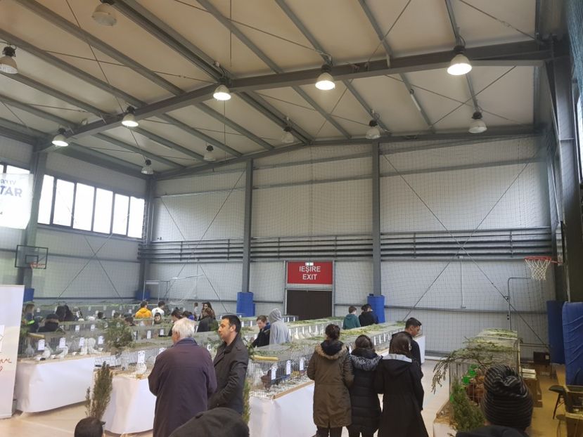  - Rezultatele obținute la expozitia județiană Cupa Fauna Aradeana