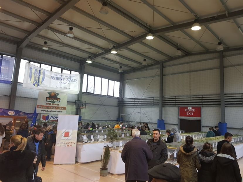  - Rezultatele obținute la expozitia județiană Cupa Fauna Aradeana