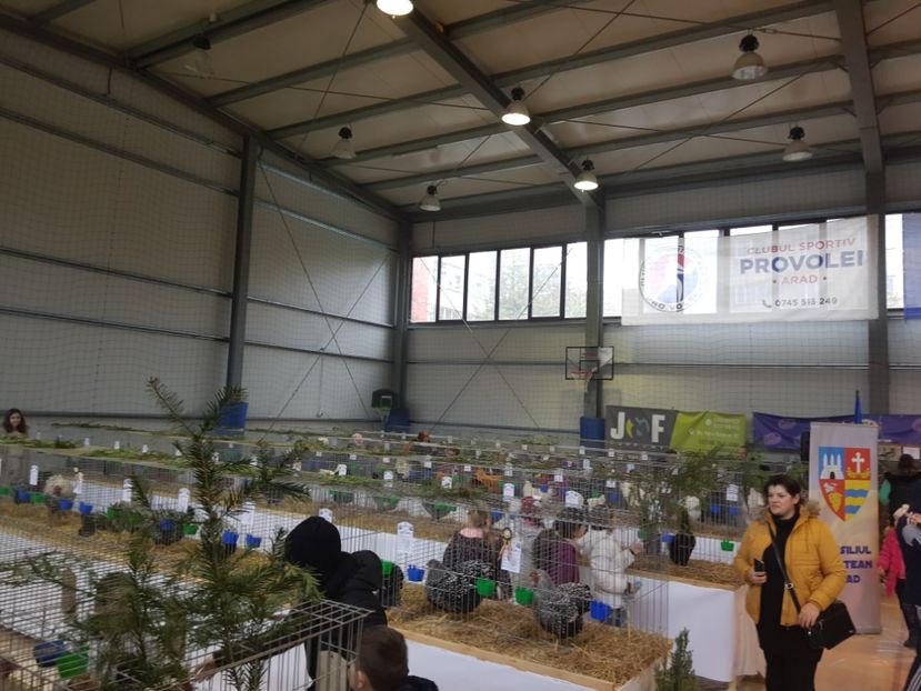  - Rezultatele obținute la expozitia județiană Cupa Fauna Aradeana