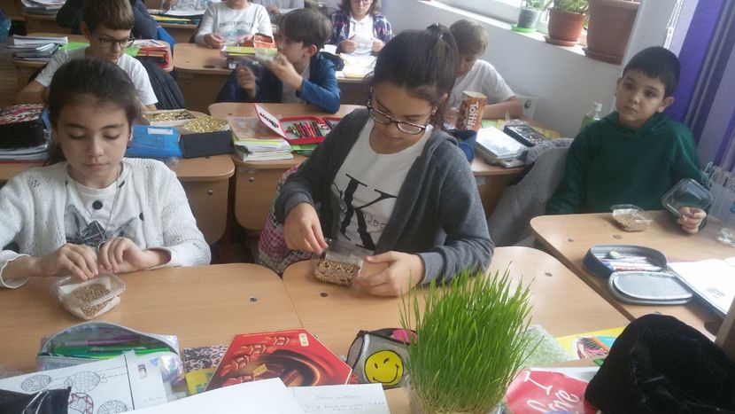  - Obiceiuri si traditii de Sf Andrei