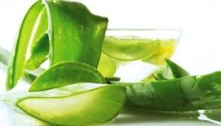 ALOE VERA - CEAIURI
