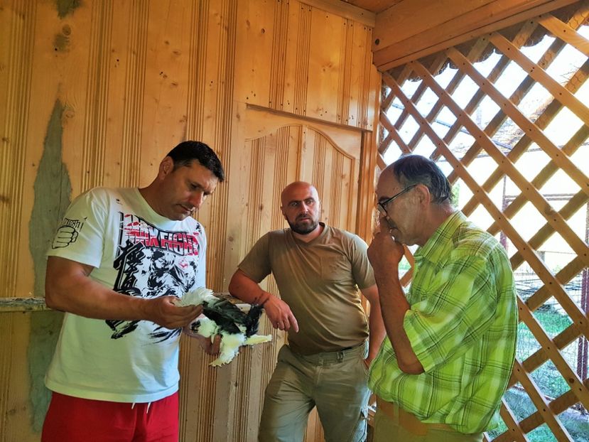  - 3-- CLUB RASE RUSESTI BULGARIA
