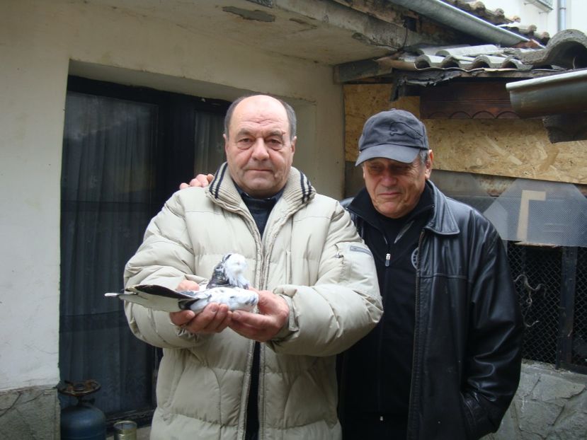  - 3-- CLUB RASE RUSESTI BULGARIA