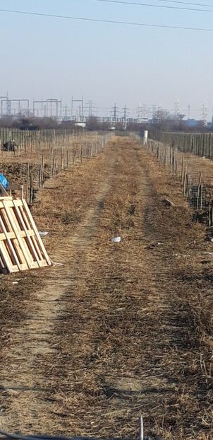 Screenshot_20181204-001120_Gallery - Livada 1 anul I 2018