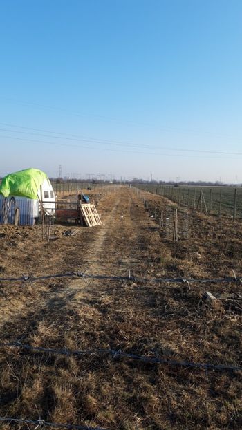  - Livada 1 anul I 2018