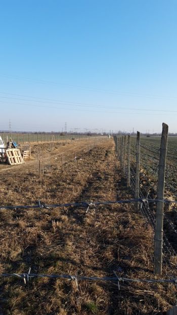  - Livada 1 anul I 2018