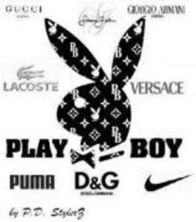 CIEWRUUHDMBMVCGZSCA - poze playboy