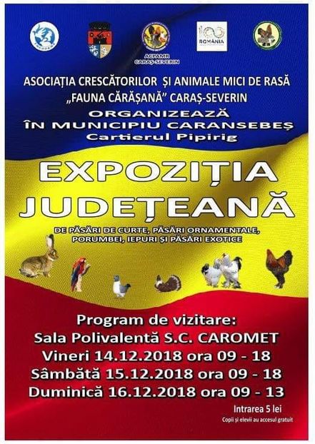 - T--TARGURI SI EXPOZITII