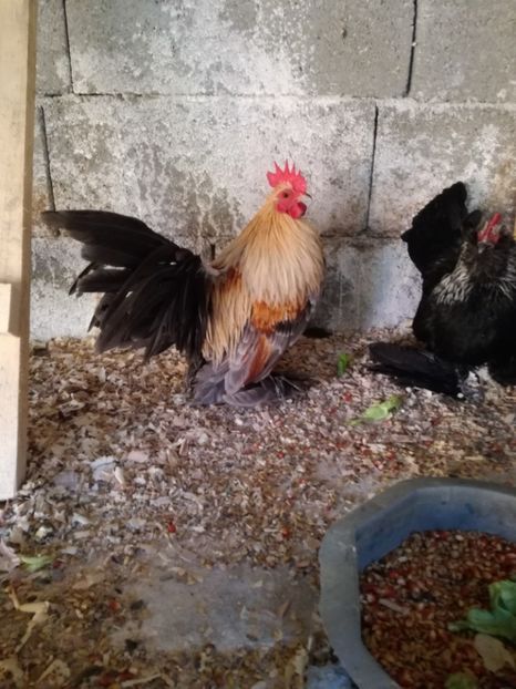  - Mii de flori silver