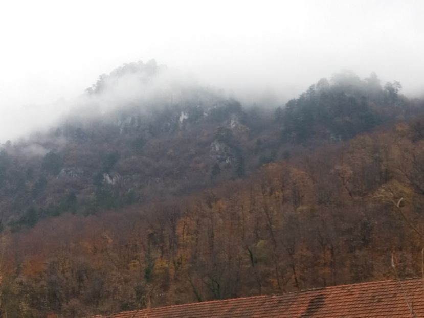  - Concediu Herculane noiembrie 2018