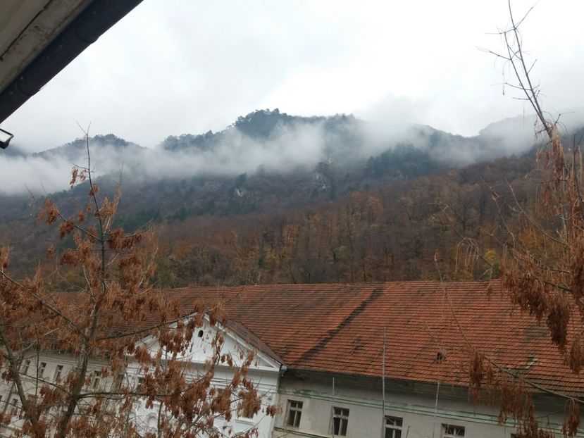  - Concediu Herculane noiembrie 2018