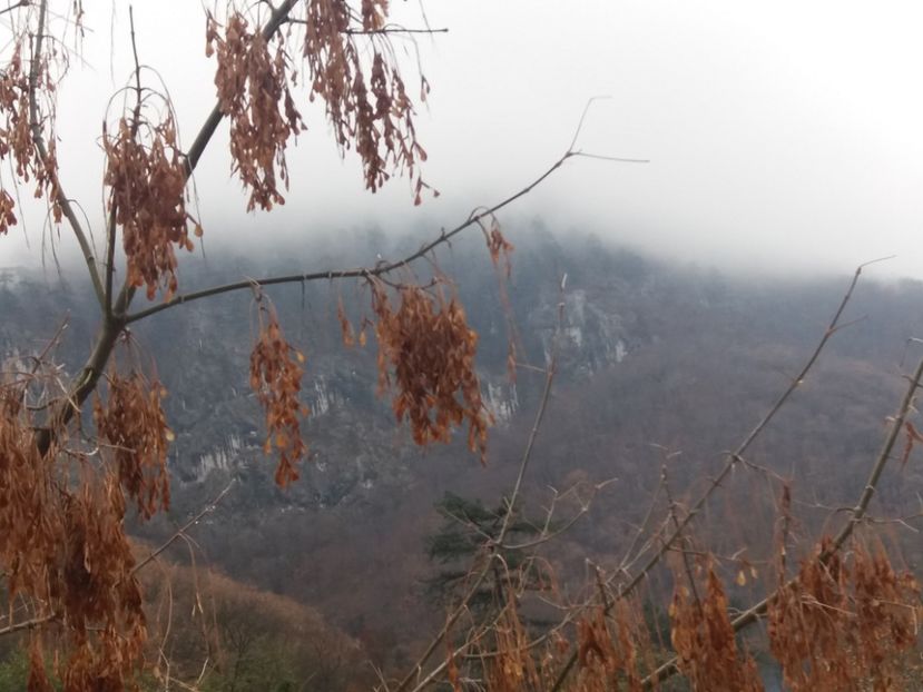  - Concediu Herculane noiembrie 2018