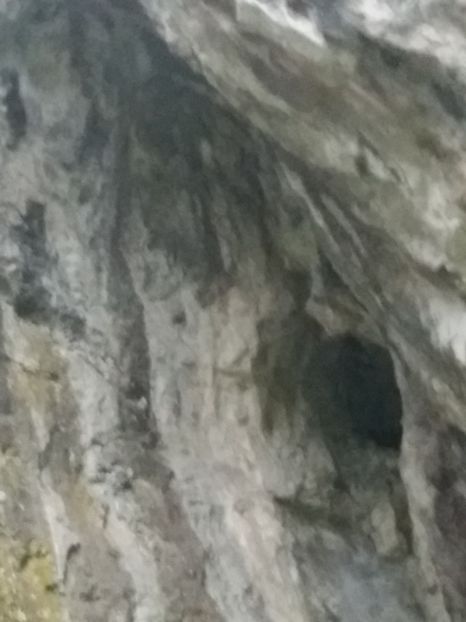  - Peștera hoților