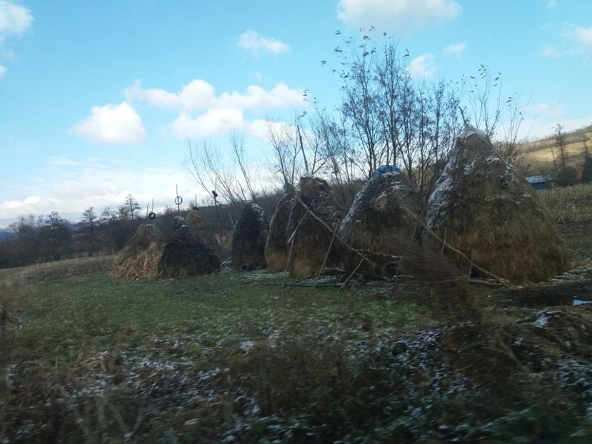  - Cascada Bigar noiembrie 2018