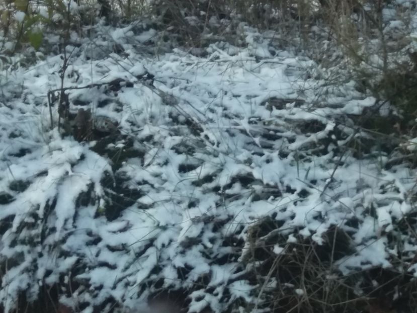  - Cascada Bigar noiembrie 2018