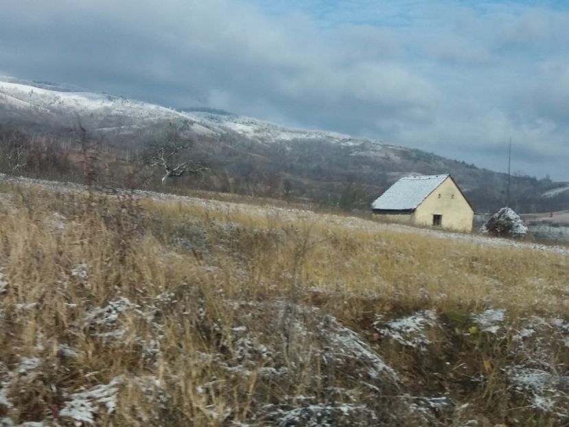  - Cascada Bigar noiembrie 2018