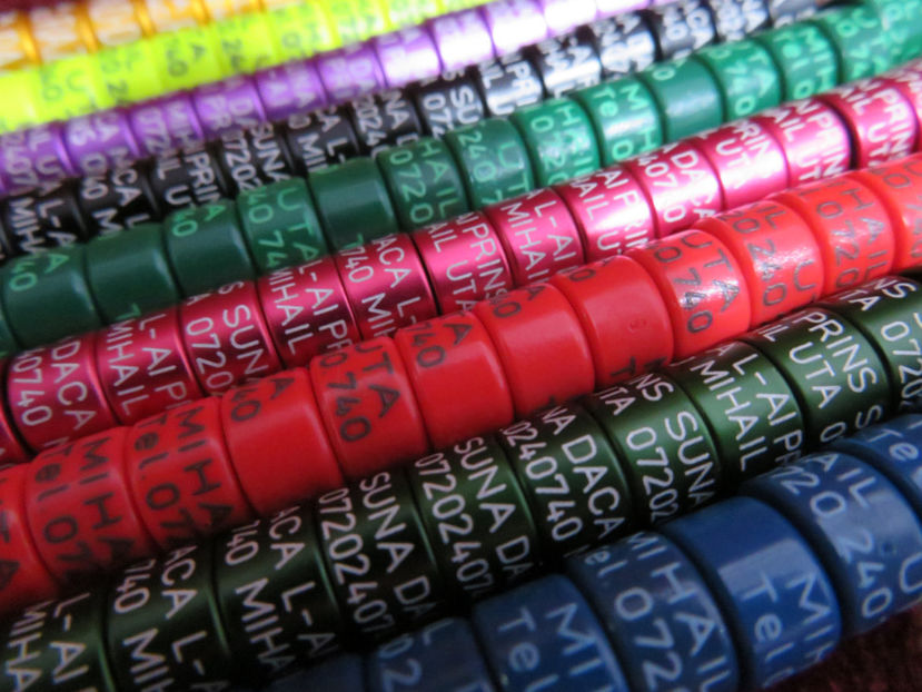  - Inele personalizate