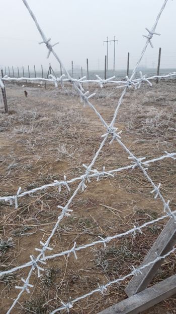  - Livada 1 anul I 2018