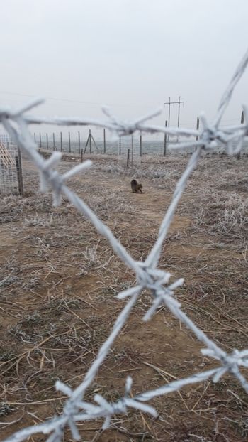  - Livada 1 anul I 2018