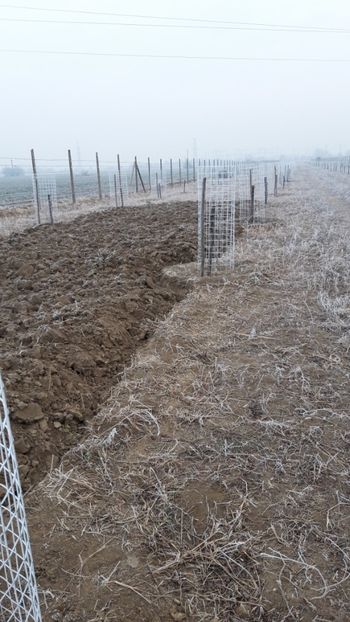  - Livada 1 anul I 2018