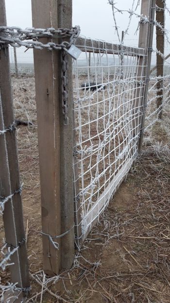  - Livada 1 anul I 2018