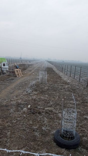  - Livada 1 anul I 2018