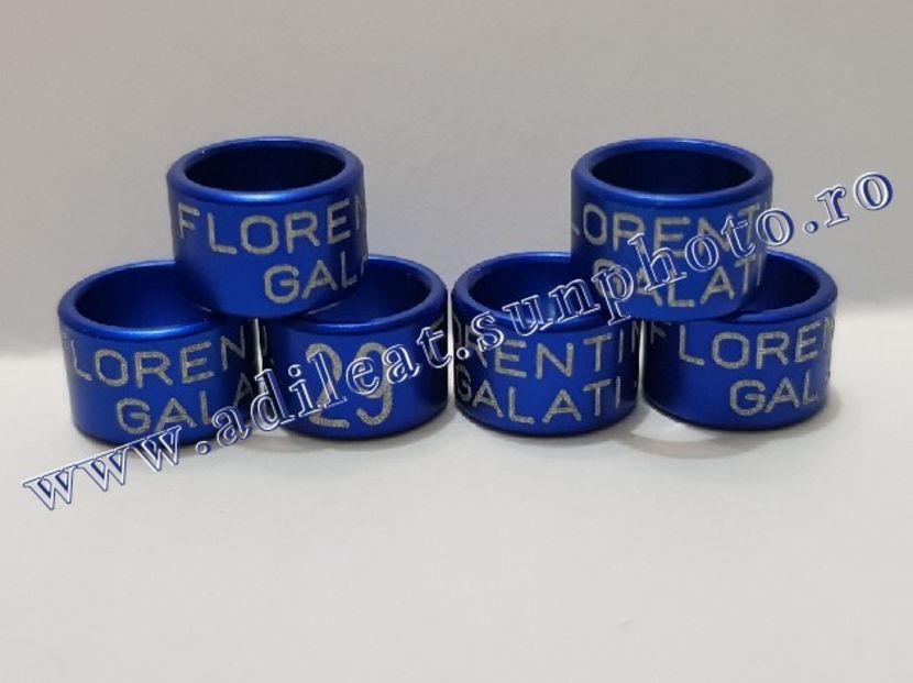 TextArt_181207200641 - 1-A-INELE PERSONALIZATE 2019