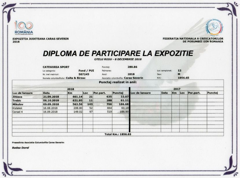 Ciocanita 507245-2018 - Rezultate 2018