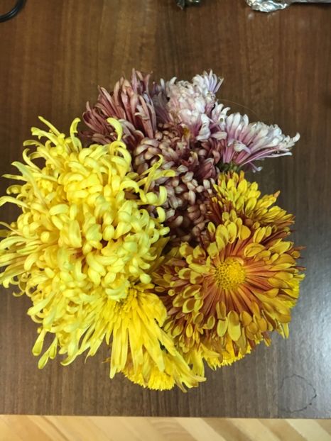 8D580835-F93F-4CD6-AE57-973C806CDCE3 - Decembrie