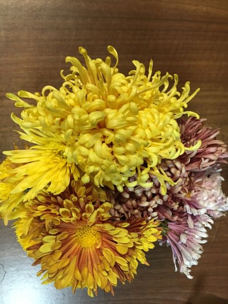 8272716D-52EA-4D96-8FDF-93529D94E591 - Decembrie