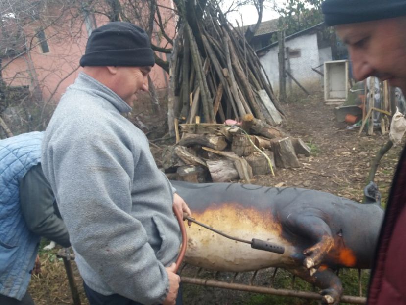  - Tăierea porcului 2018