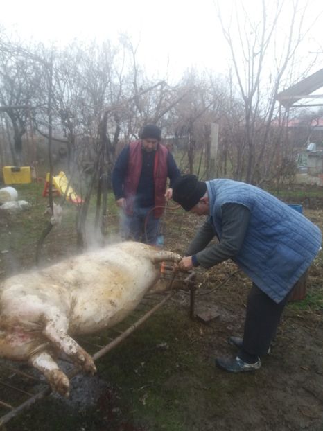  - Tăierea porcului 2018