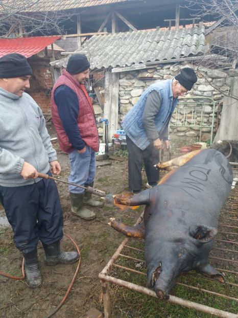  - Tăierea porcului 2018