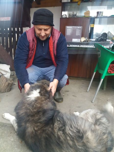  - Tăierea porcului 2018