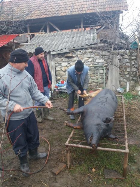  - Tăierea porcului 2018