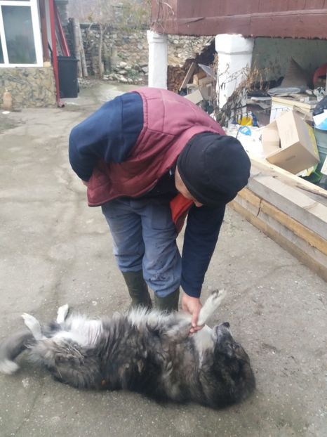  - Tăierea porcului 2018