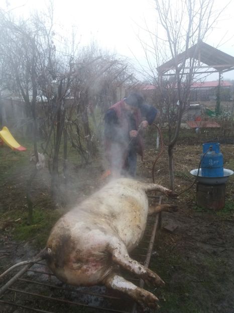 - Tăierea porcului 2018