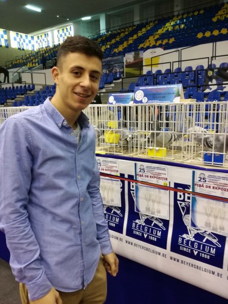  - Porumbei participanti din crescatoria BADEA ALEXANDRU in EXPOZITIA NATIONALA UCPR-2018