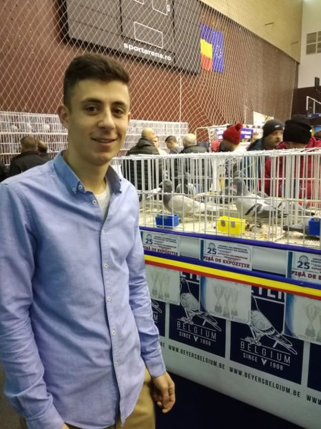  - Porumbei participanti din crescatoria BADEA ALEXANDRU in EXPOZITIA NATIONALA UCPR-2018