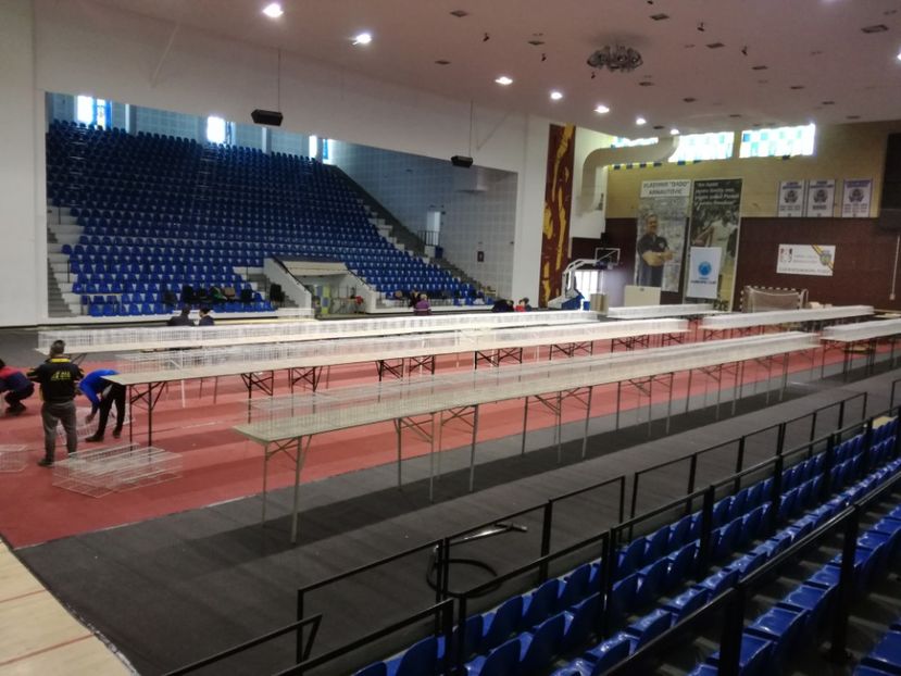  - 2018-EXPOZITIA NATIONALA UCPR-PLOIESTI