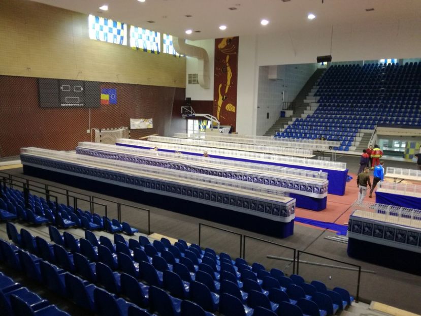  - 2018-EXPOZITIA NATIONALA UCPR-PLOIESTI