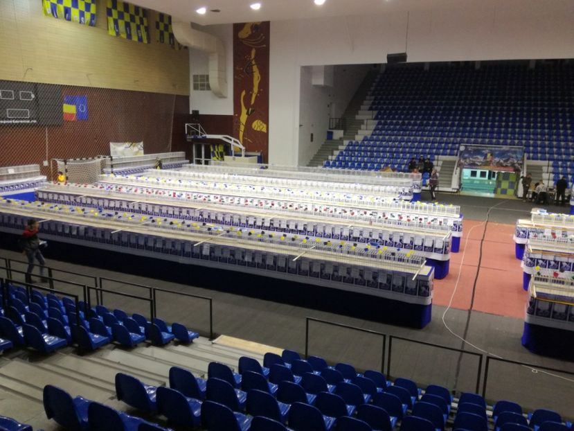  - 2018-EXPOZITIA NATIONALA UCPR-PLOIESTI