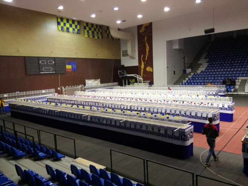  - 2018-EXPOZITIA NATIONALA UCPR-PLOIESTI