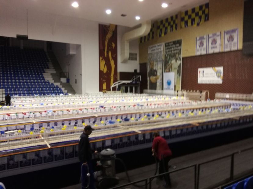  - 2018-EXPOZITIA NATIONALA UCPR-PLOIESTI