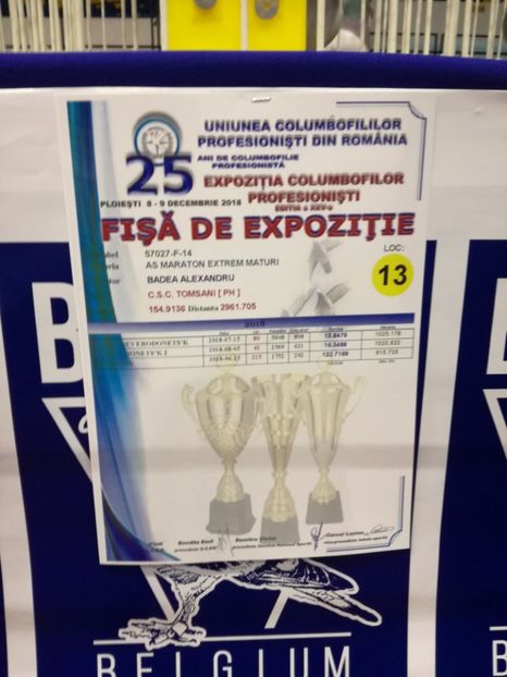  - 2018-EXPOZITIA NATIONALA UCPR-PLOIESTI