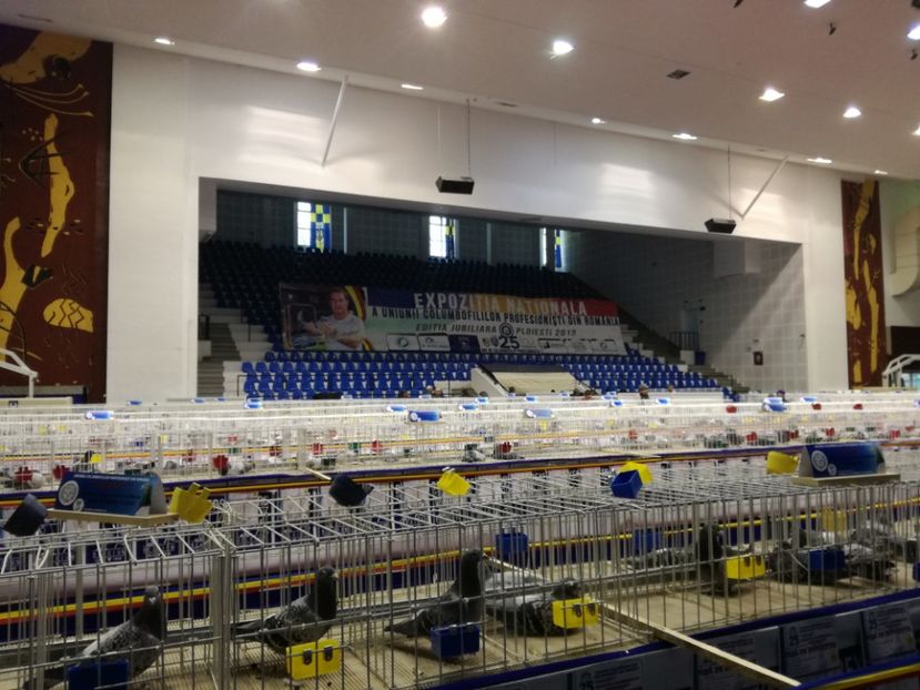  - 2018-EXPOZITIA NATIONALA UCPR-PLOIESTI