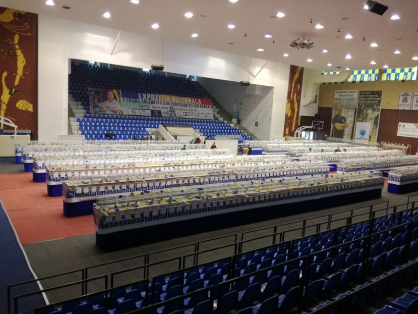  - 2018-EXPOZITIA NATIONALA UCPR-PLOIESTI